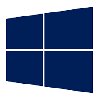 Windows 11 Pro 64 bit